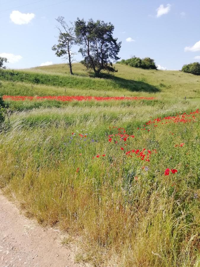 Ferienhaus Am Kuhstall Bad Muenstereifel Kültér fotó